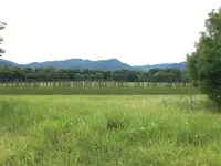吉野ケ里遺跡の写真・動画_image_340098