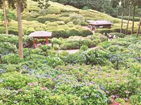 三室戸寺の写真・動画_image_340288
