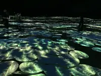 【閉業】森ビルデジタルアートミュージアム：エプソン チームラボボーダレス（MORI Building Digital Art Museum: EPSON teamLab Borderless）の写真・動画_image_340474