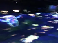 【閉業】森ビルデジタルアートミュージアム：エプソン チームラボボーダレス（MORI Building Digital Art Museum: EPSON teamLab Borderless）の写真・動画_image_340475