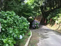 日龍峰寺（高沢観音）の写真・動画_image_341006