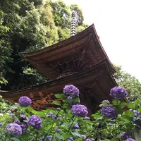 日龍峰寺（高沢観音）の写真・動画_image_341007