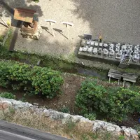 日龍峰寺（高沢観音）の写真・動画_image_341009