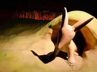 【閉業】星の王子さまミュージアムの写真・動画_image_341082