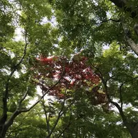 MOA美術館の写真・動画_image_341132