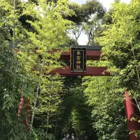來宮神社の写真・動画_image_341137