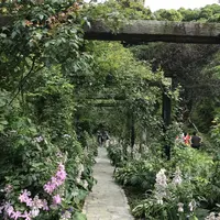 アカオハーブ＆ローズガーデンの写真・動画_image_341143