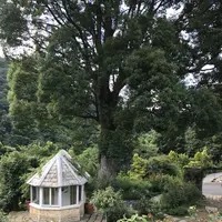 アカオハーブ＆ローズガーデンの写真・動画_image_341145