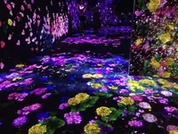 【閉業】森ビルデジタルアートミュージアム：エプソン チームラボボーダレス（MORI Building Digital Art Museum: EPSON teamLab Borderless）の写真・動画_image_341284