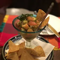 サルシータの写真・動画_image_341650