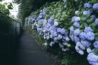 飛鳥山公園の写真・動画_image_342039