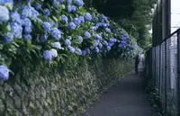 飛鳥山公園の写真・動画_image_342048