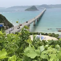 角島の写真・動画_image_342147