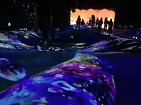 【閉業】森ビルデジタルアートミュージアム：エプソン チームラボボーダレス（MORI Building Digital Art Museum: EPSON teamLab Borderless）の写真・動画_image_342589