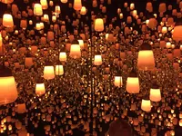 【閉業】森ビルデジタルアートミュージアム：エプソン チームラボボーダレス（MORI Building Digital Art Museum: EPSON teamLab Borderless）の写真・動画_image_342593
