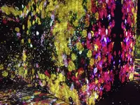 【閉業】森ビルデジタルアートミュージアム：エプソン チームラボボーダレス（MORI Building Digital Art Museum: EPSON teamLab Borderless）の写真・動画_image_342771
