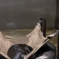 アクア・トトぎふの写真・動画_image_342846