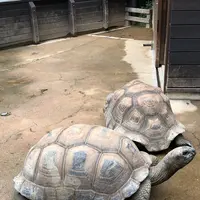 アクア・トトぎふの写真・動画_image_342847