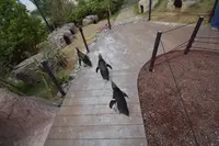 上越市立水族博物館 うみがたり（旧：上越市立水族博物館）の写真・動画_image_342895