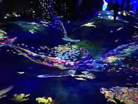 【閉業】森ビルデジタルアートミュージアム：エプソン チームラボボーダレス（MORI Building Digital Art Museum: EPSON teamLab Borderless）の写真・動画_image_342916