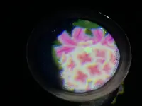 【閉業】森ビルデジタルアートミュージアム：エプソン チームラボボーダレス（MORI Building Digital Art Museum: EPSON teamLab Borderless）の写真・動画_image_343209