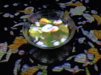 【閉業】森ビルデジタルアートミュージアム：エプソン チームラボボーダレス（MORI Building Digital Art Museum: EPSON teamLab Borderless）の写真・動画_image_343213