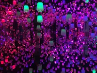 【閉業】森ビルデジタルアートミュージアム：エプソン チームラボボーダレス（MORI Building Digital Art Museum: EPSON teamLab Borderless）の写真・動画_image_343324