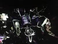 【閉業】森ビルデジタルアートミュージアム：エプソン チームラボボーダレス（MORI Building Digital Art Museum: EPSON teamLab Borderless）の写真・動画_image_343327