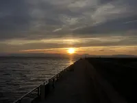新舞子マリンパークの写真・動画_image_343427