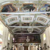 フィリピン ボホール島の写真・動画_image_343673