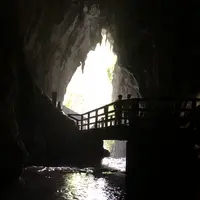 秋芳洞の写真・動画_image_343684