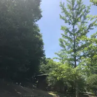 トーベ・ヤンソンあけぼの子どもの森公園の写真・動画_image_344157