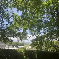 トーベ・ヤンソンあけぼの子どもの森公園の写真・動画_image_344164