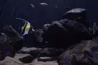 上越市立水族博物館 うみがたり（旧：上越市立水族博物館）の写真・動画_image_344352