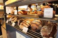 365日の写真・動画_image_344390