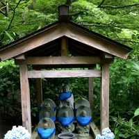 明月院（あじさい寺）の写真・動画_image_344830