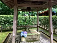 明月院（あじさい寺）の写真・動画_image_344832