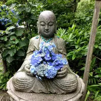 明月院（あじさい寺）の写真・動画_image_344833