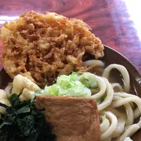 手打ちうどんムサシの写真・動画_image_344923
