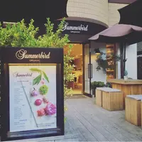 SUMMERBIRD ORGANICの写真・動画_image_344967