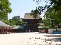 筥崎宮の写真・動画_image_345209