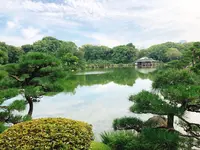 清澄庭園の写真・動画_image_345587