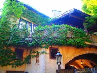 ぬくもりの森の写真・動画_image_347075