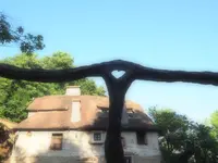 ぬくもりの森の写真・動画_image_347077