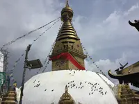 Himalayan Activities Pvt. Ltd. Trekking & Travelの写真・動画_image_347416