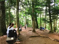 高尾山の写真・動画_image_347788