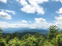 高尾山の写真・動画_image_347789