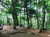 高尾山の写真・動画_image_347792