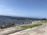 黄金崎不老ふ死温泉の写真・動画_image_348344