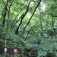 黄金崎不老ふ死温泉の写真・動画_image_348347